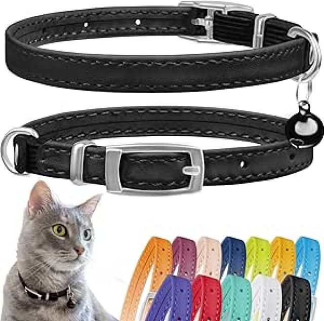 Blueberry Pet Breakaway Cat Collar